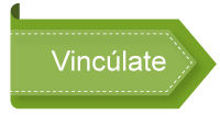 vincularse